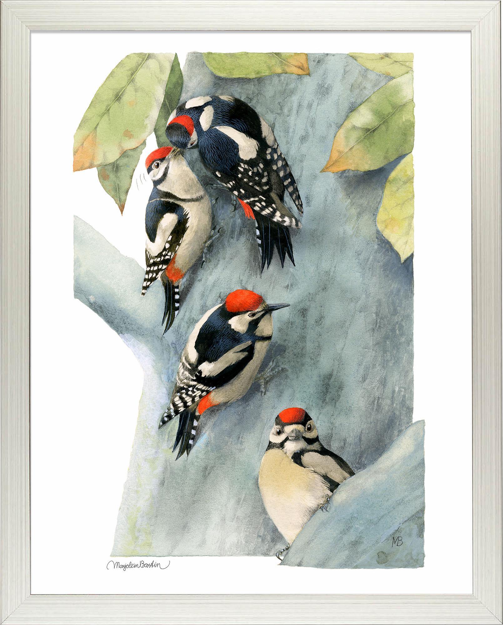 Spotted Woodpecker Family - Realistic Bird Figurine Set for Home Decor, Nature Lovers & Educational Use | Perfect for Kids' Room, Classroom & Wildlife Collections