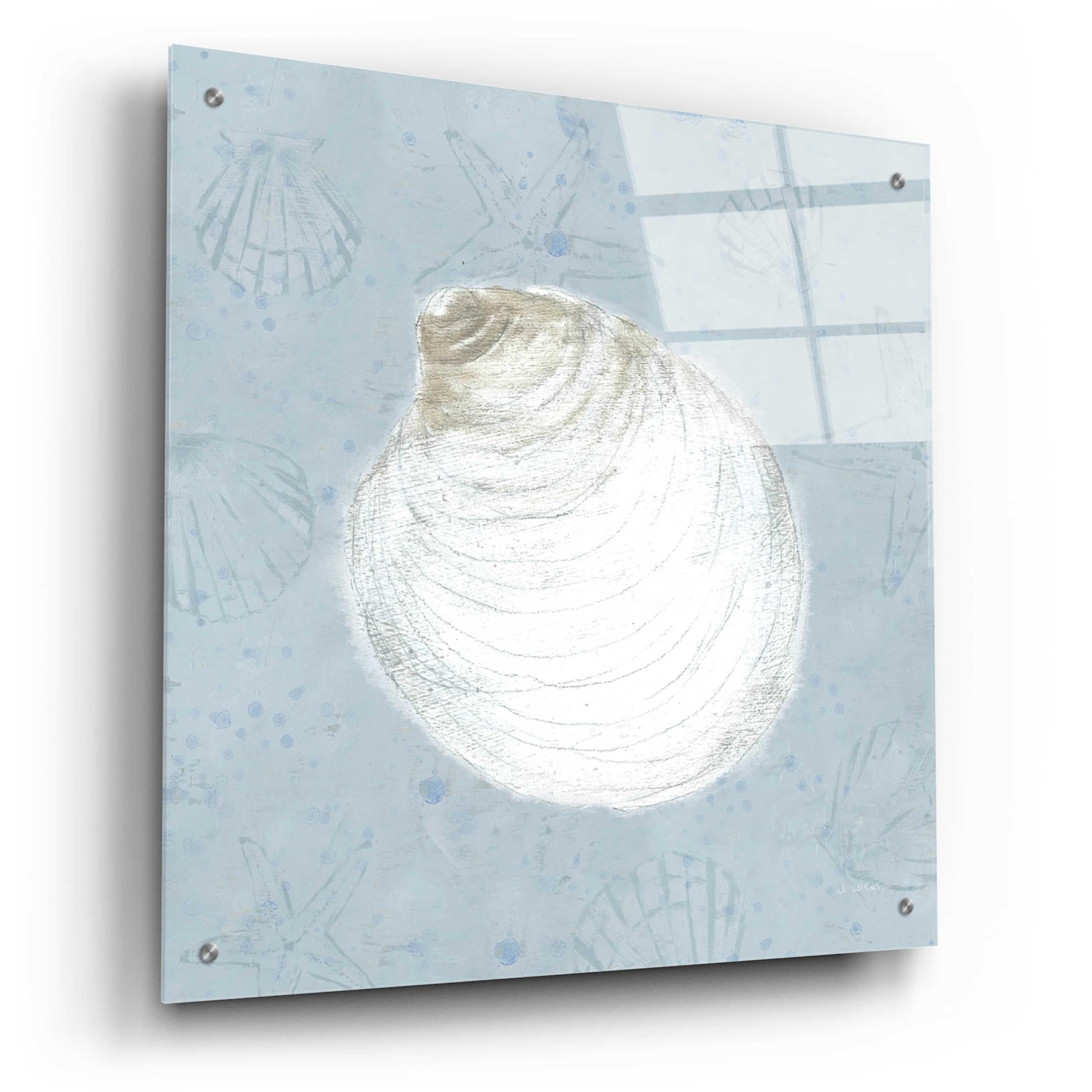Serene Shells II by James Wiens - 24x24 Inch Acrylic Glass Wall Art Painting, Modern Coastal Home Decor for Living Room, Bedroom & Office