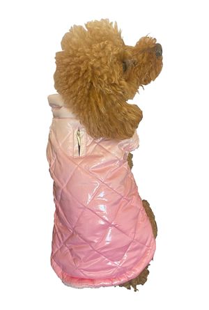 Coco Puffer Jacket Ombre Baby Pink - Stylish Winter Coat for Women | Perfect for Cold Weather & Outdoor Activities