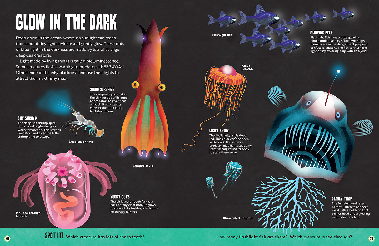 My First Oceans Atlas - Educational Kids Ocean Book for Learning Marine Life - Perfect for Homeschooling & Classroom Activities