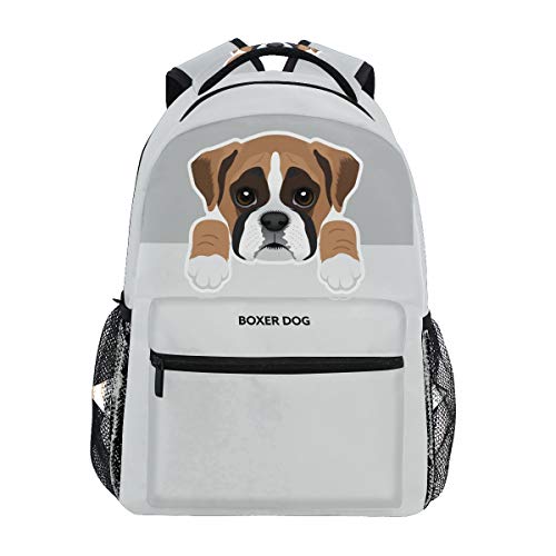 Boxer Dog