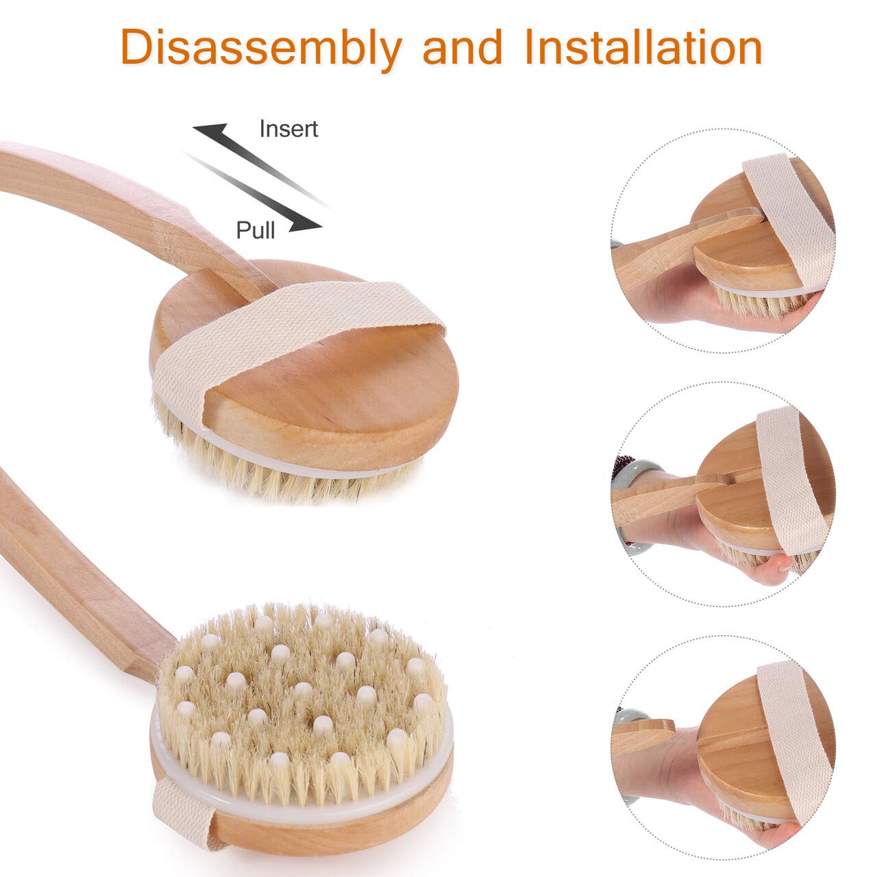 Topchances 5-in-1 Body Brush Set with Detachable Long Handle - Exfoliating Brush for Dry Skin, Cellulite Treatment & Back Scrubbing | Perfect for Shower, Spa & Home Skincare Routine