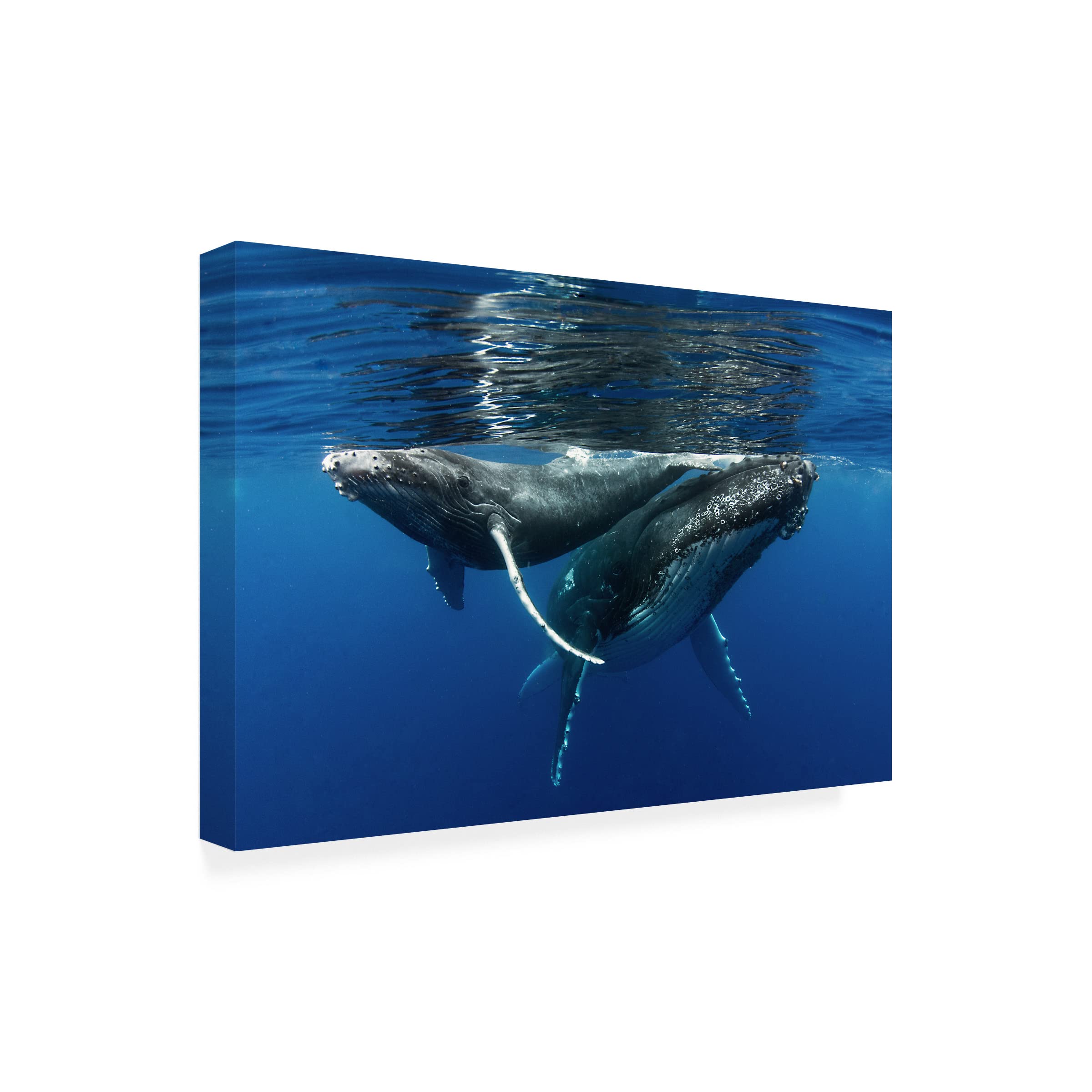 Trademark Fine Art 'Mother And Son' Canvas Wall Art by Cedric Peneau - Hand-Painted Home Decor for Living Room, Bedroom & Nursery