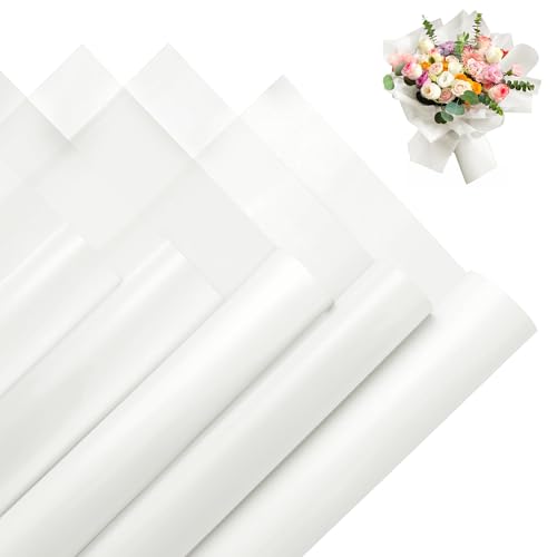 White & No Gold Edge