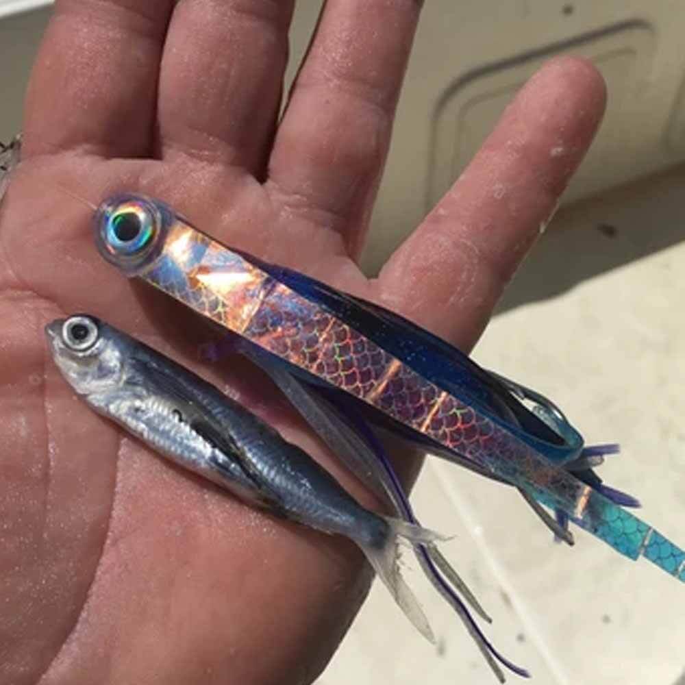 Islamorada Flyer Small Single Skirt Trolling Lure - Premium Saltwater Fishing Bait for Mahi Mahi, Wahoo & Tuna - Perfect for Offshore & Deep Sea Fishing Adventures