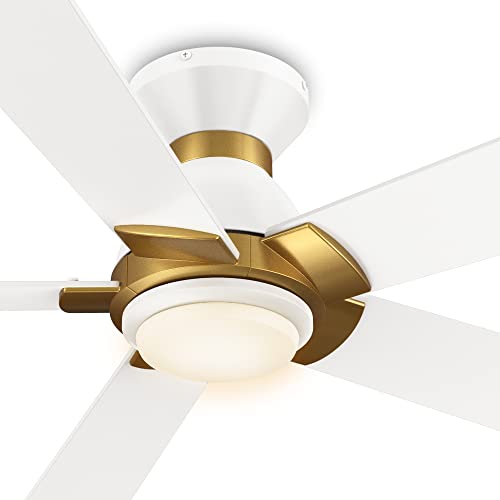 White/Gold