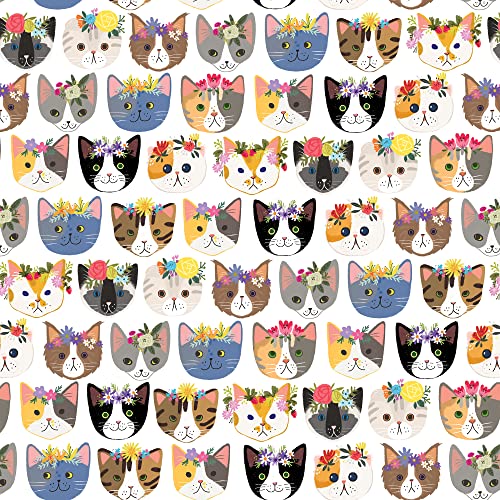 Kitty Cats