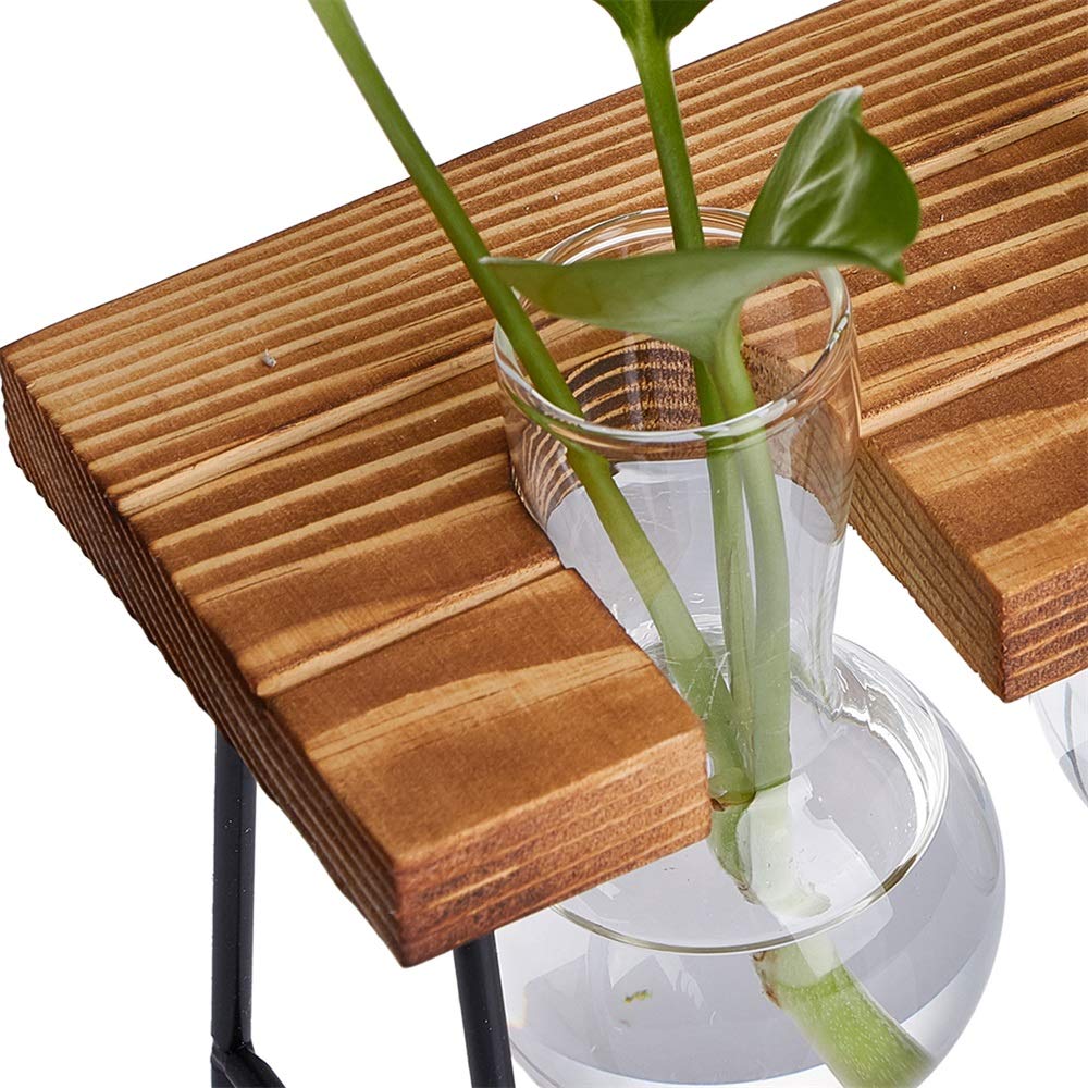 Air Plant Terrarium Glass with Wooden Stand - Small Desktop Hydroponics Vase for Succulents & Plants - Home Office Decor with 3 Bulbs - Perfect for Desk Decor, Gift Idea & Indoor Gardening