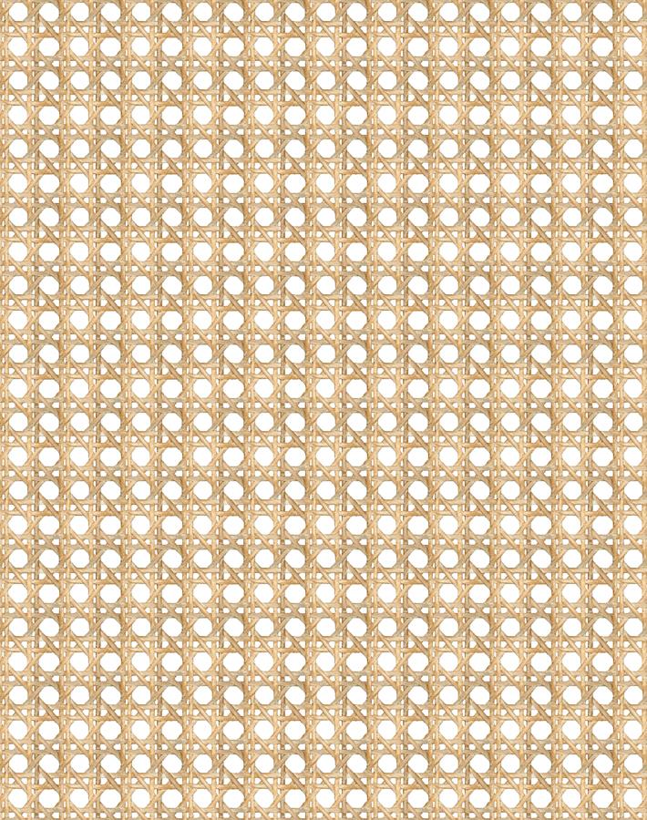 Wallshoppe Faux Caning Wicker Wallpaper - Peel and Stick Self-Adhesive Wallpaper for Bedroom, Living Room, and Office Decor