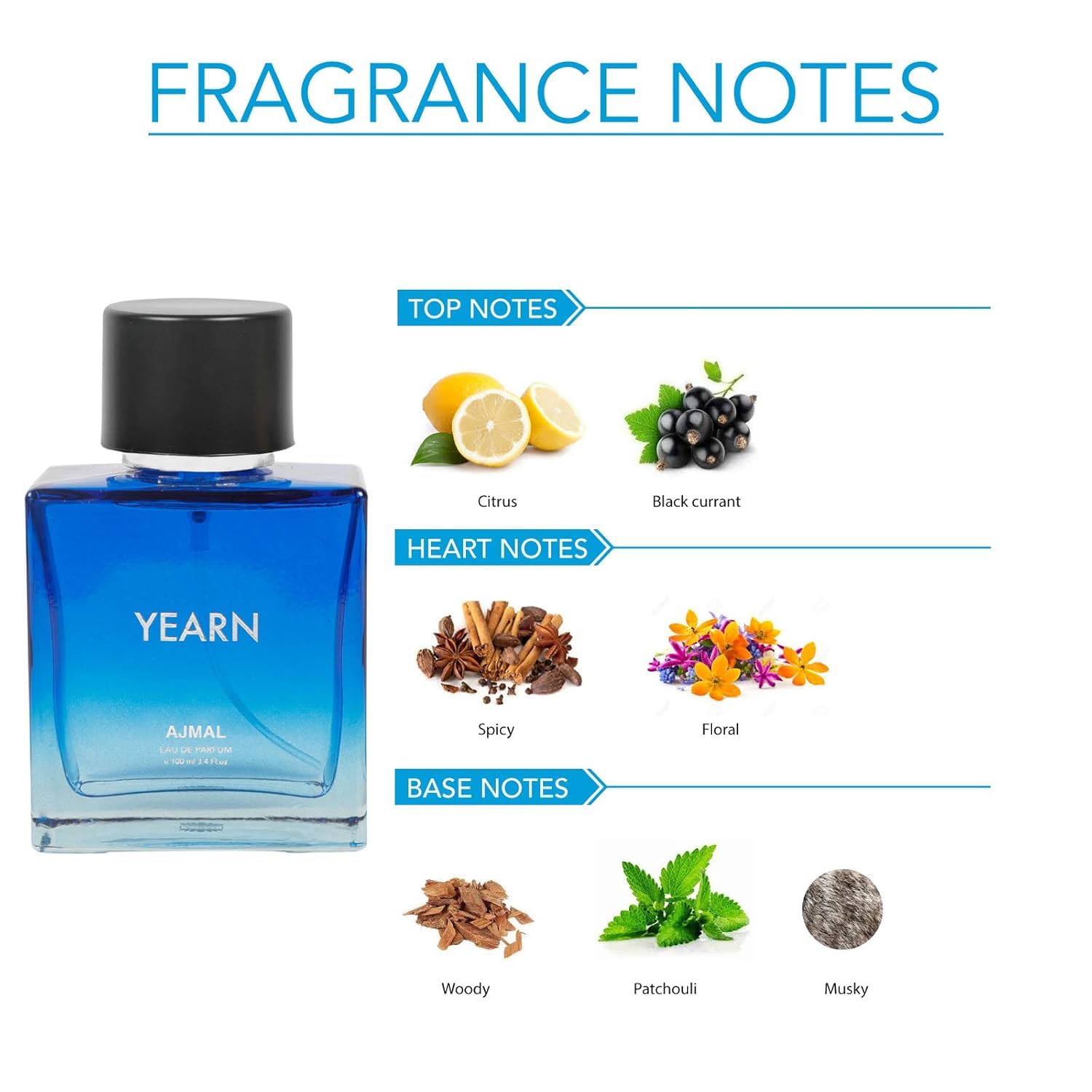 AJ.MAL Ye.arn Eau De Parfum for Men - 100ml Fresh Aquatic Cologne Spray - Long Lasting Fragrance for Daily Wear, Office & Special Occasions