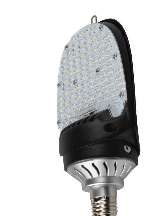 Daylight White (5700K)