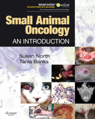 Small Animal Oncology: An Introduction - Veterinary Guide for Pet Cancer Care | Diagnosis & Treatment for Dogs & Cats