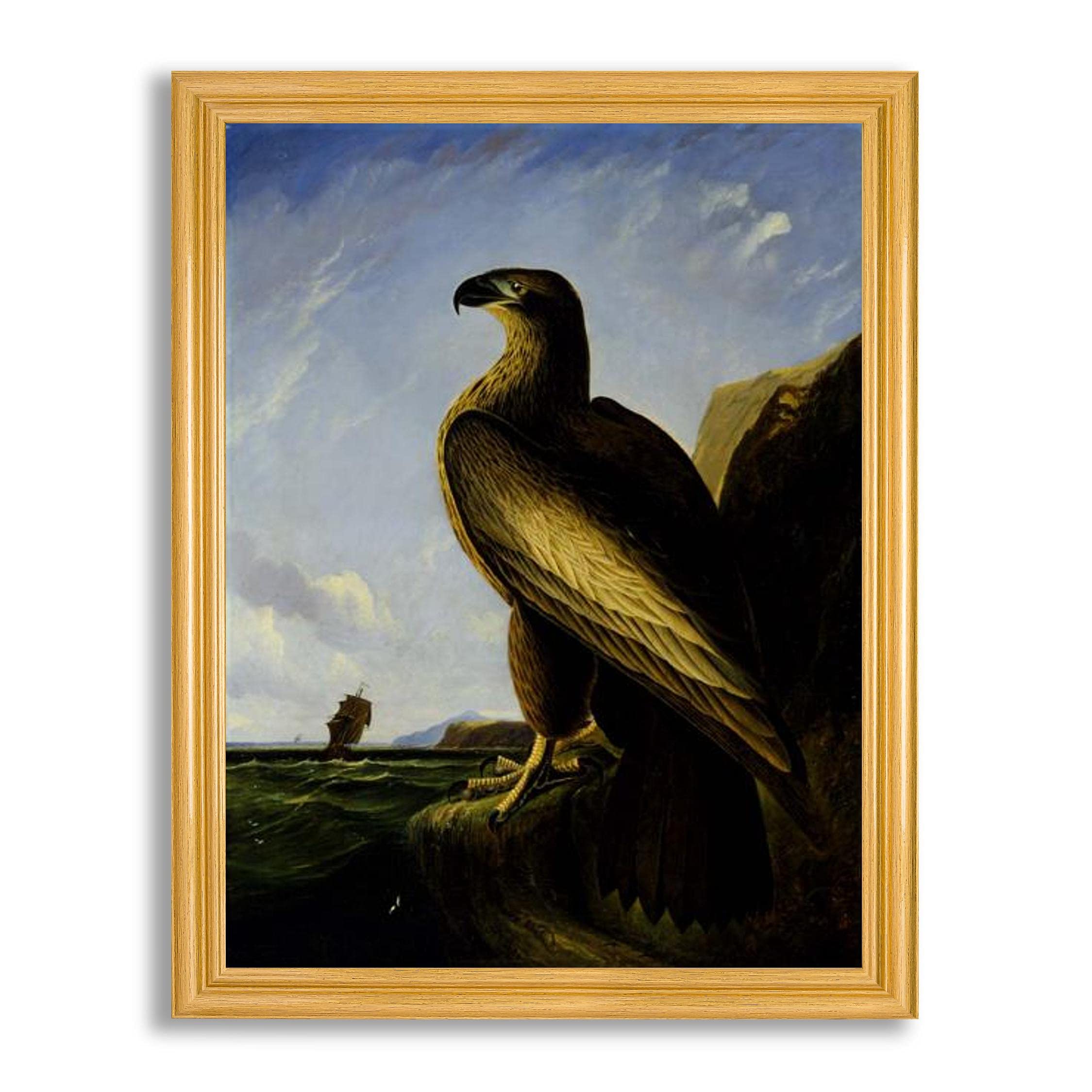 Sea Eagle by James Audubon Framed Art Print - Premium Wildlife Painting Reproduction in Wood Frame | Wall Decor for Home, Office, Bedroom & Living Room | Perfect for Nature Lovers & Bird Enthusiasts