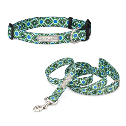 2024 Leo Collar/Leash Combo