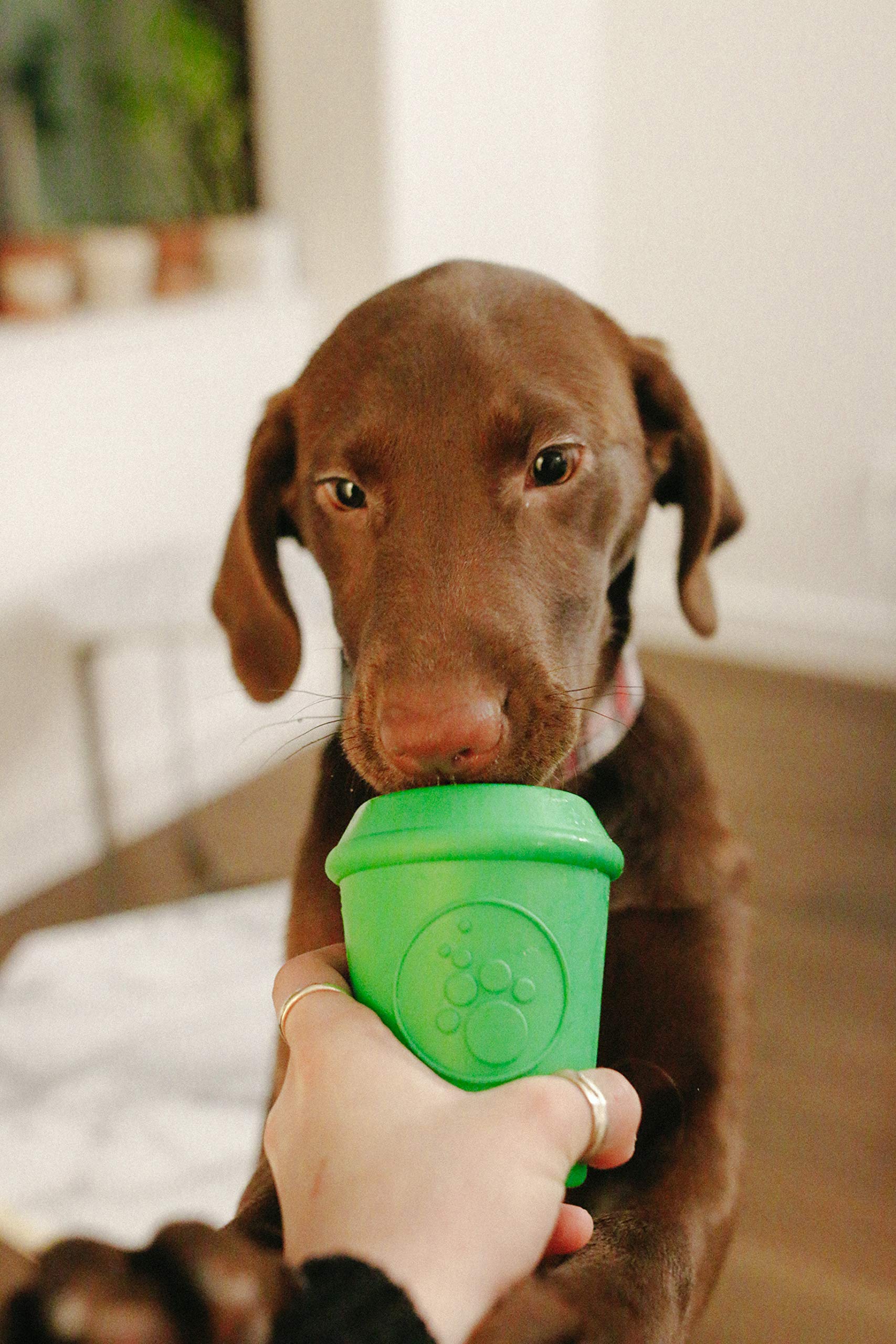 SodaPup Coffee Cup Dog Chew Toy – Non-Toxic Natural Rubber Treat Dispenser for Mental Stimulation & Anxiety Relief – Durable USA-Made Pet Safe Chewing Toy for Small & Medium Dogs – Perfect for Playtime, Training & Stress Relief