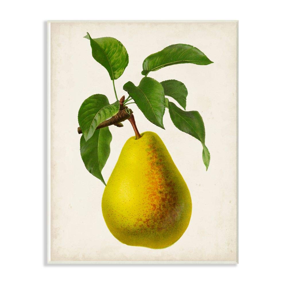 Vintage Fruit Pear Painting Wall Art - Multi-Color Canvas Signs & Plaques for Kitchen, Dining Room, and Farmhouse Decor