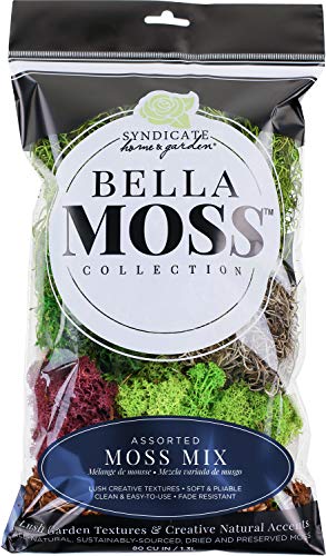 80 Cubic Inch Preserved Reindeer Moss Mix by Syndicate Sales - Natural Decorative Moss for Terrariums, Floral Arrangements & Home Decor