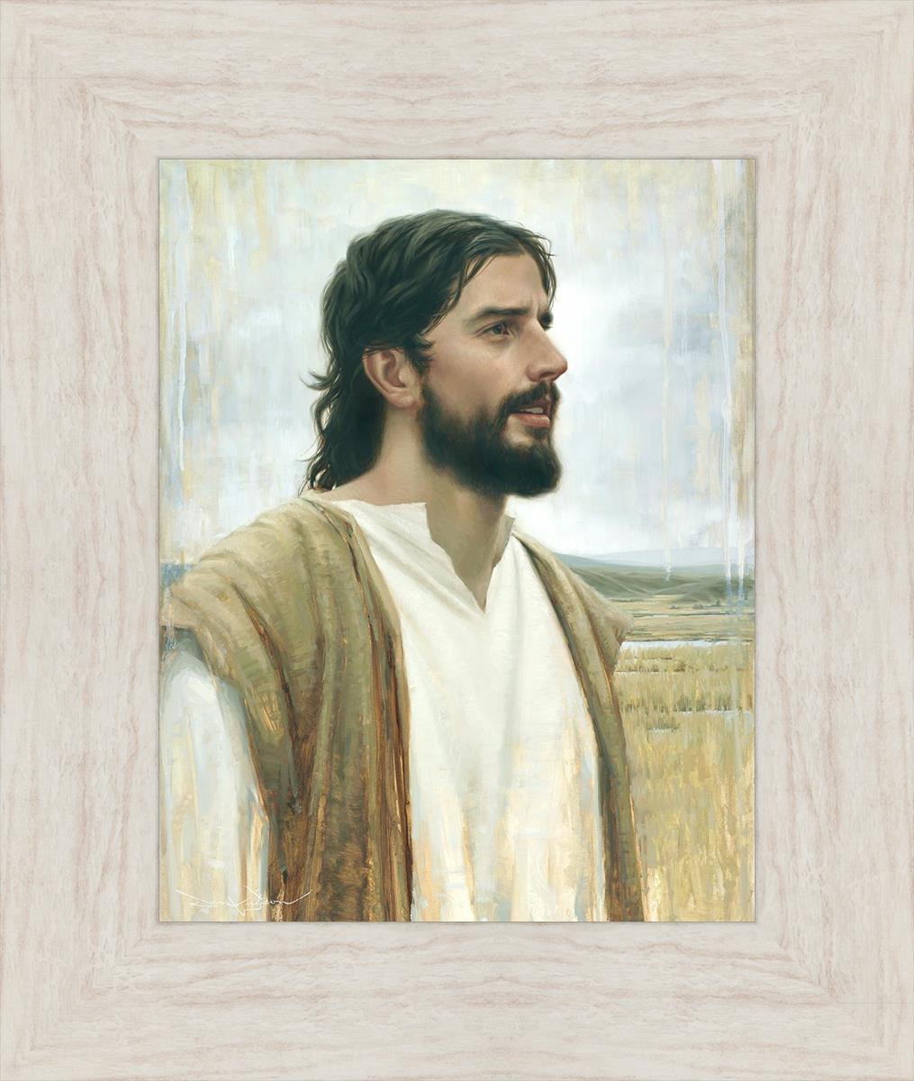 Clarity In His Mission - Inspirational Christian Book for Men's Faith & Purpose | Perfect for Daily Devotion, Bible Study & Spiritual Growth
