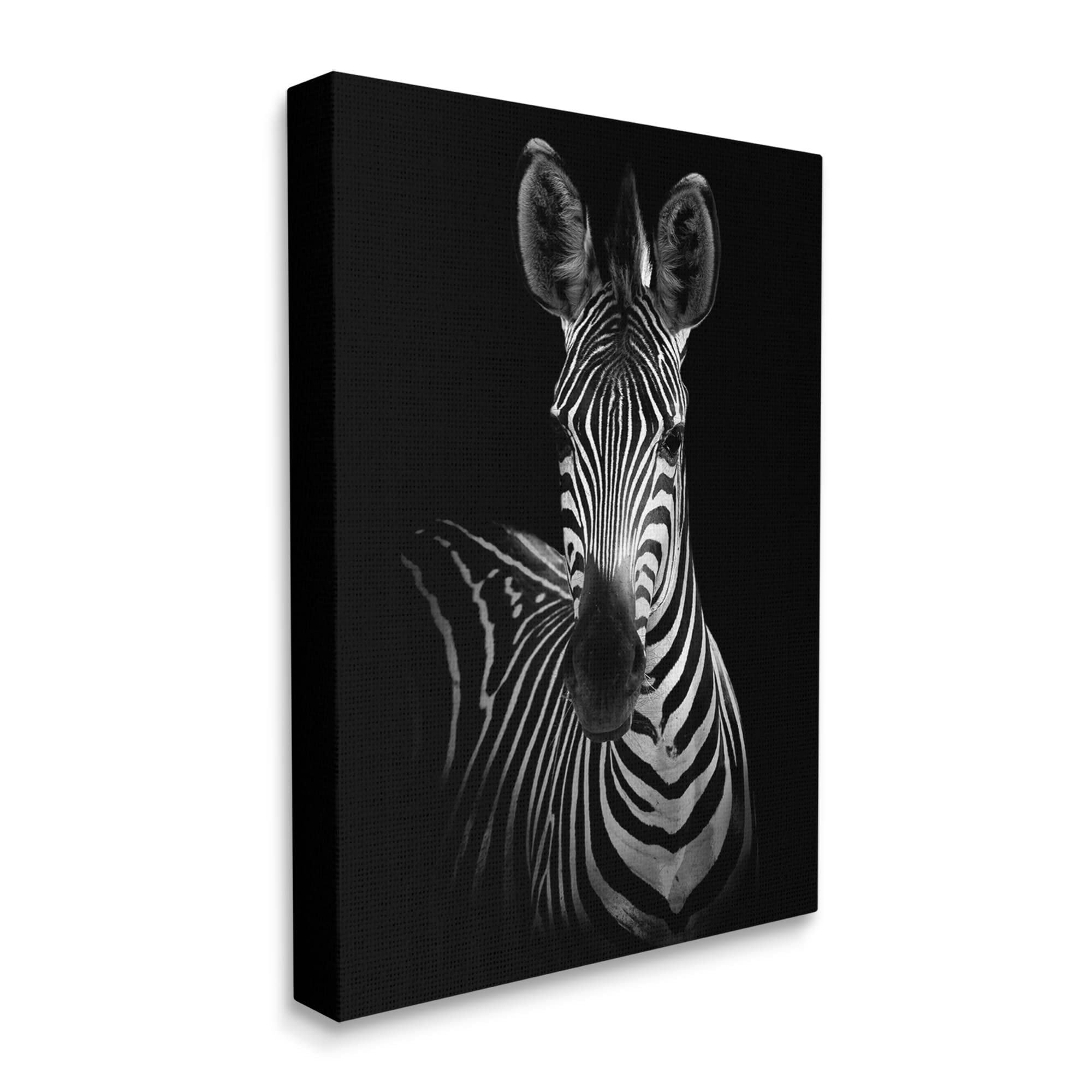 Striking Black and White Zebra Portrait Photography Wall Art - Modern Monochrome Animal Decor for Living Room, Bedroom & Office - Stupell Industries by Incado