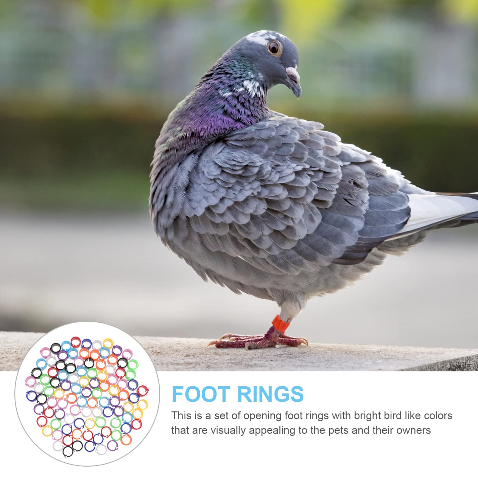 100 Pcs Adjustable Chicken Leg Bands - Bird Leg Rings for Parrots, Pigeons & Poultry - Durable Chew-Proof Foot Rings for Identification & Training - Perfect for Bird Owners, Breeders & Farmers - Use for Tracking, Breeding & Pet Identification
