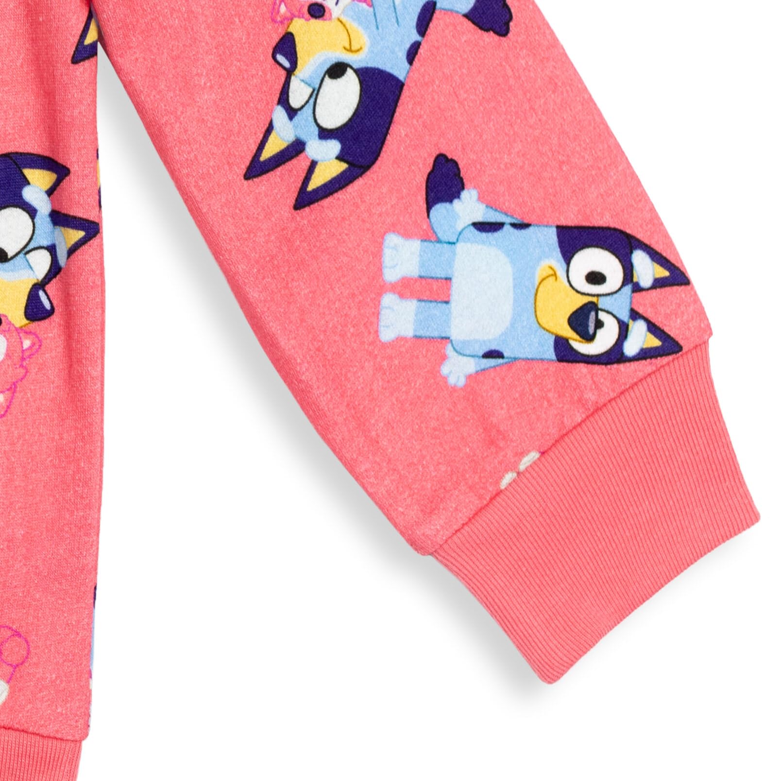 Bluey Bingo Cartoon Character Sweatshirt for Kids - Soft Cotton Pullover for Infants to Big Kids (2T-10Y) - Perfect for Playdates, Family Outings & Birthday Gifts