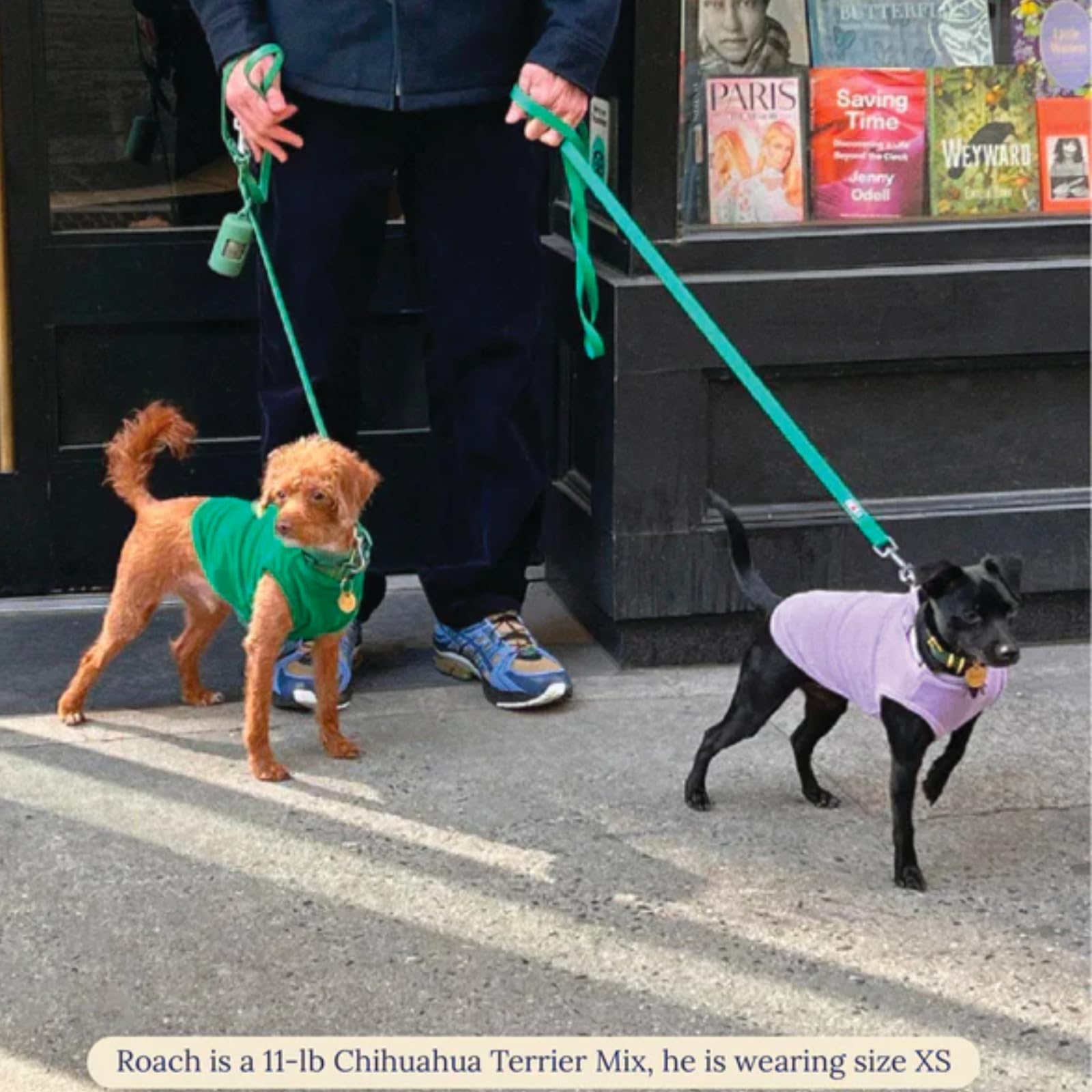 Little Beast Dog Clothes for Small/Medium/Large Dogs - Purple Shirt for Outdoor Walks