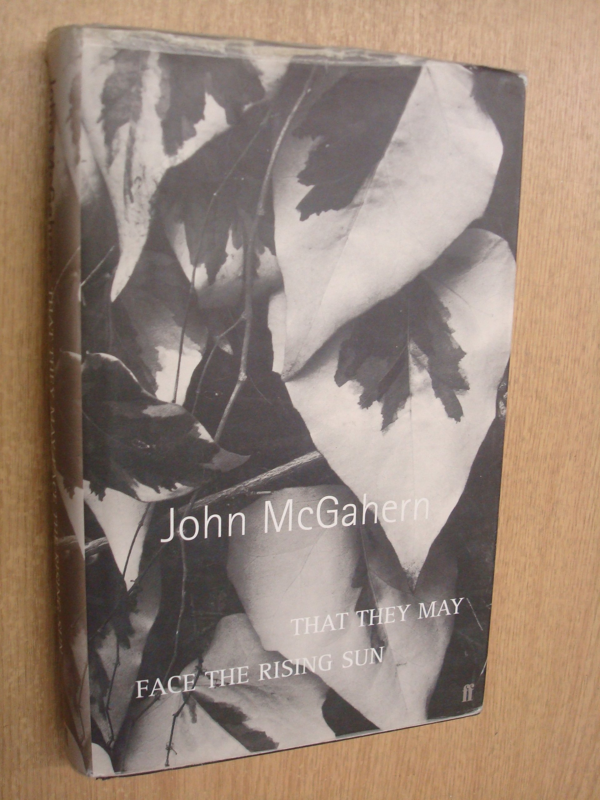 That They May Face the Rising Sun - Award-Winning Irish Novel by John McGahern | Classic Literature, Book Club Pick, Literary Fiction | Perfect for Reading Groups & Literature Enthusiasts