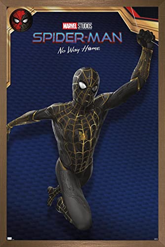 Bronze Framed Version