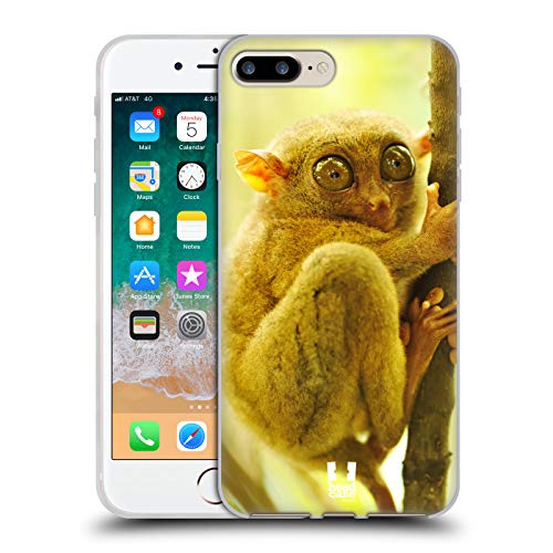 Tarsier Monkey