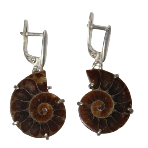Natural Ammonite Fossil Earrings – Handmade Dangle Jewelry for Women | Perfect Gift for Nature Lovers & Boho Style Outfits