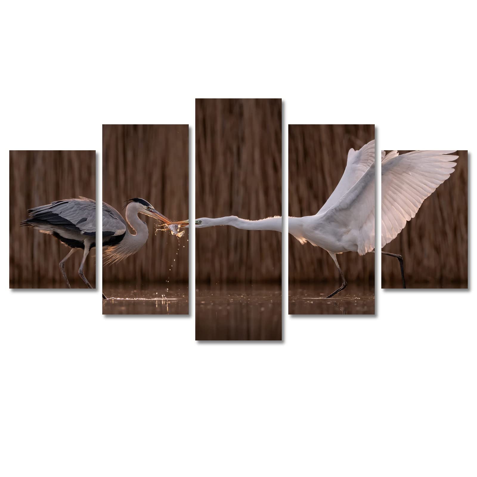 5-Piece Canvas Wall Art Set - Heron Birds Painting 40