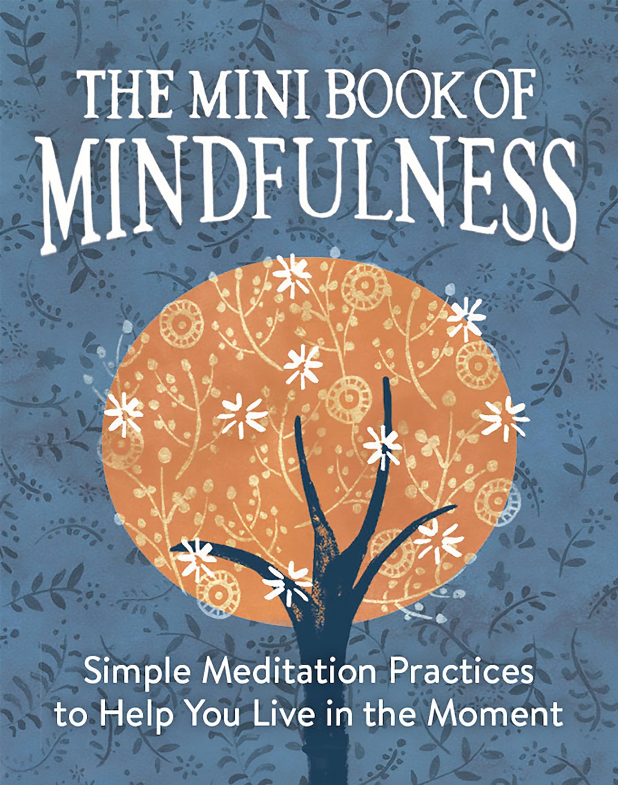 The Mini Book of Mindfulness: Simple Meditation Practices for Living in the Moment | Stress Relief & Focus Techniques | Perfect for Home, Office & Travel (RP Minis)