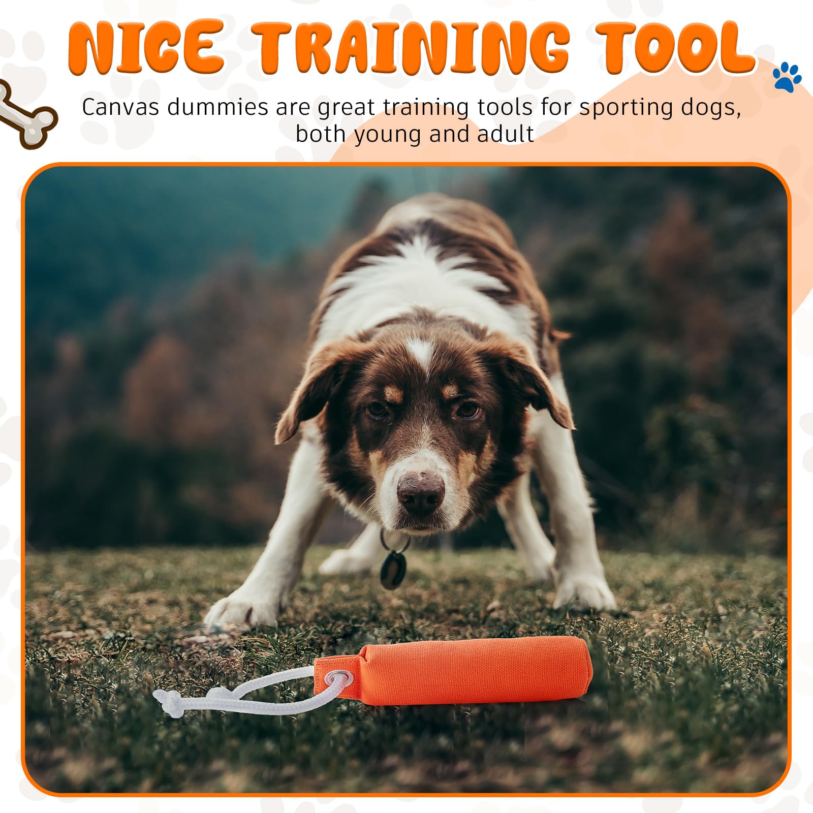 2 Pack Canvas Dog Training Bumpers - Durable Hunting Dog Training Dummy for Retrieval Practice (7.1 x 1.6 Inches, Orange) - Perfect for Field Training, Backyard Fetch & Obedience Exercises