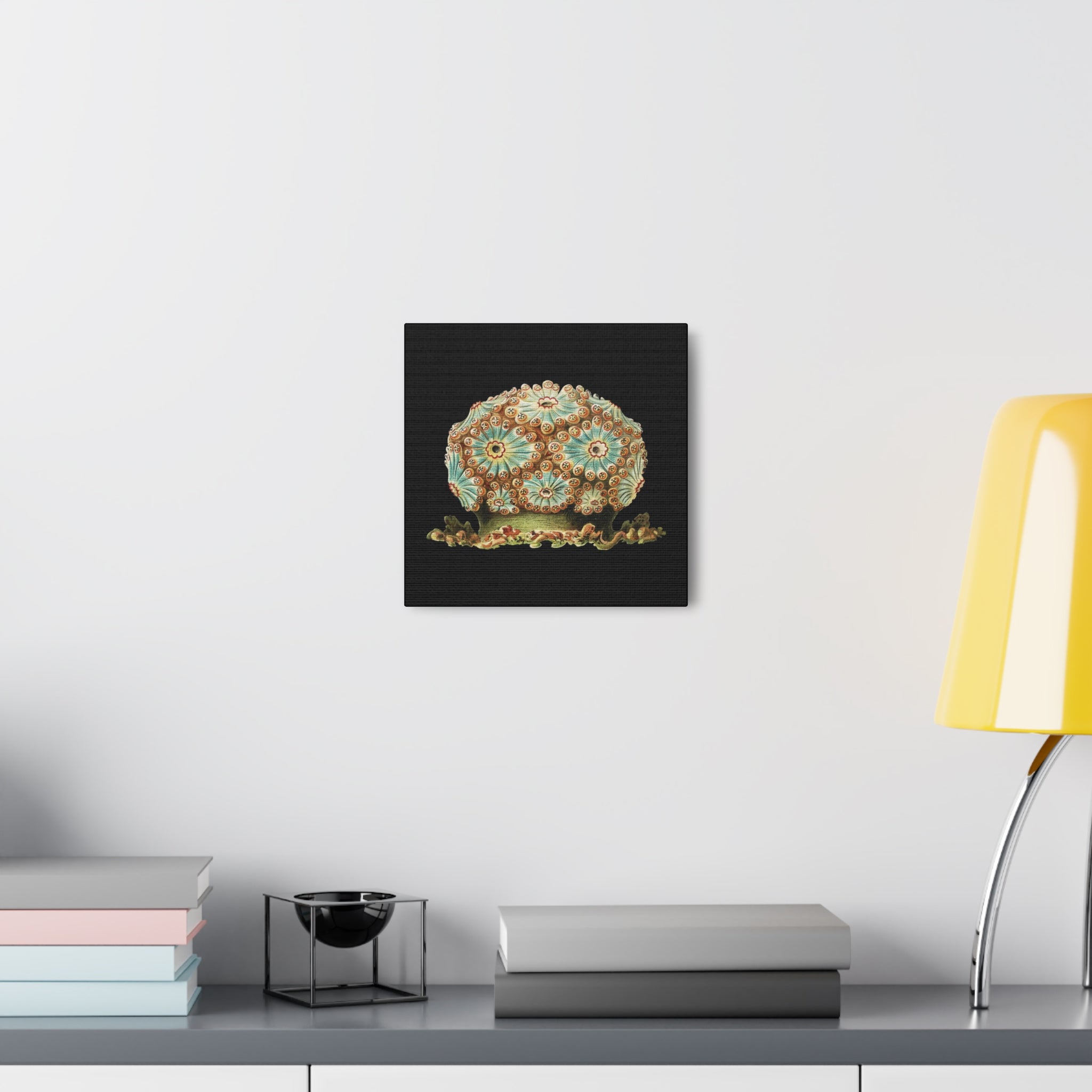 Vintage Tunicate Illustration By Ernst Haeckel - High Quality Canvas Art Print - Perfect for Home Decor, Office Wall Art & Biology Classroom