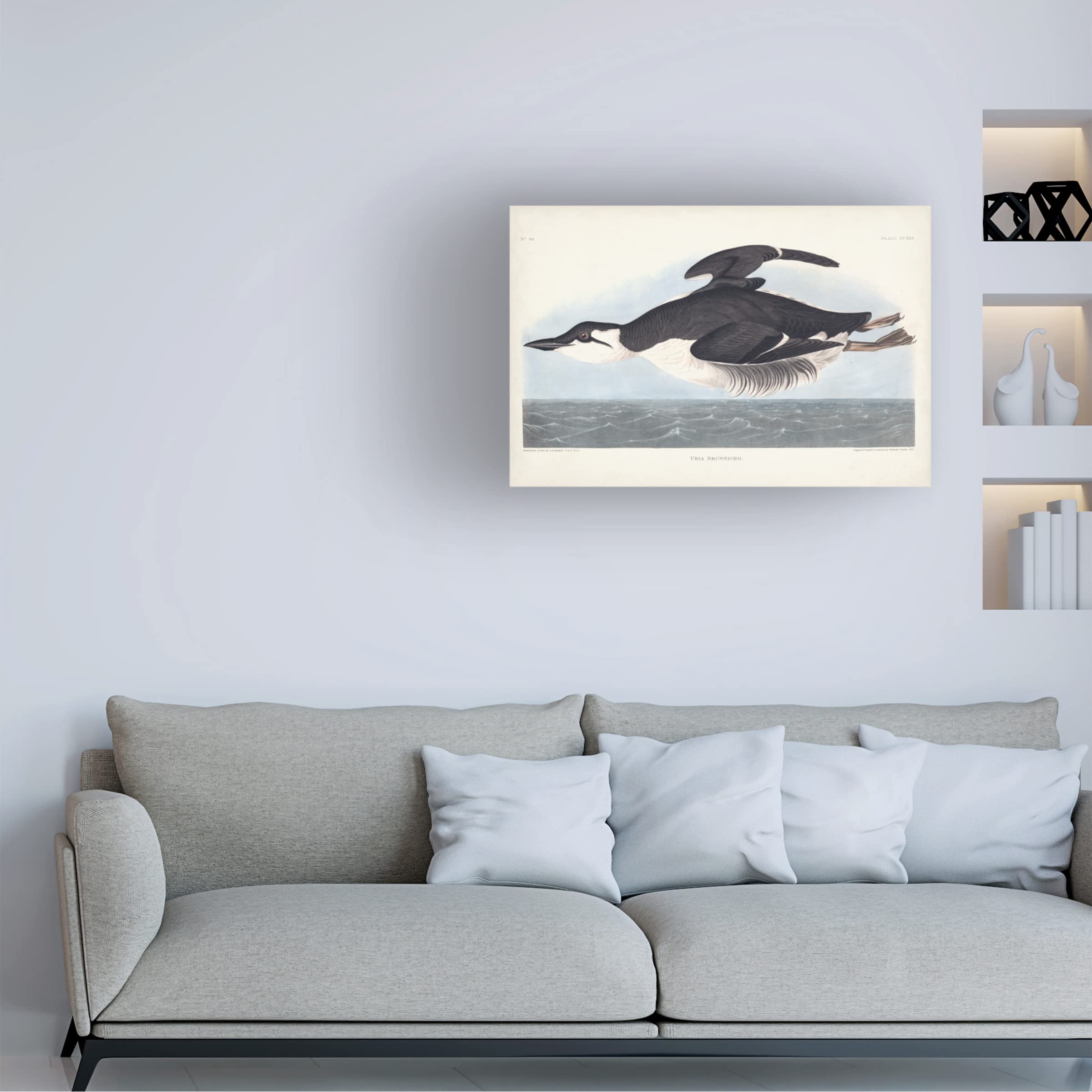 Trademark Fine Art 'Uria Brunnichi' by John James Audubon - 12x19 Inch Premium Canvas Wall Art - Perfect for Living Room, Bedroom & Office Decor
