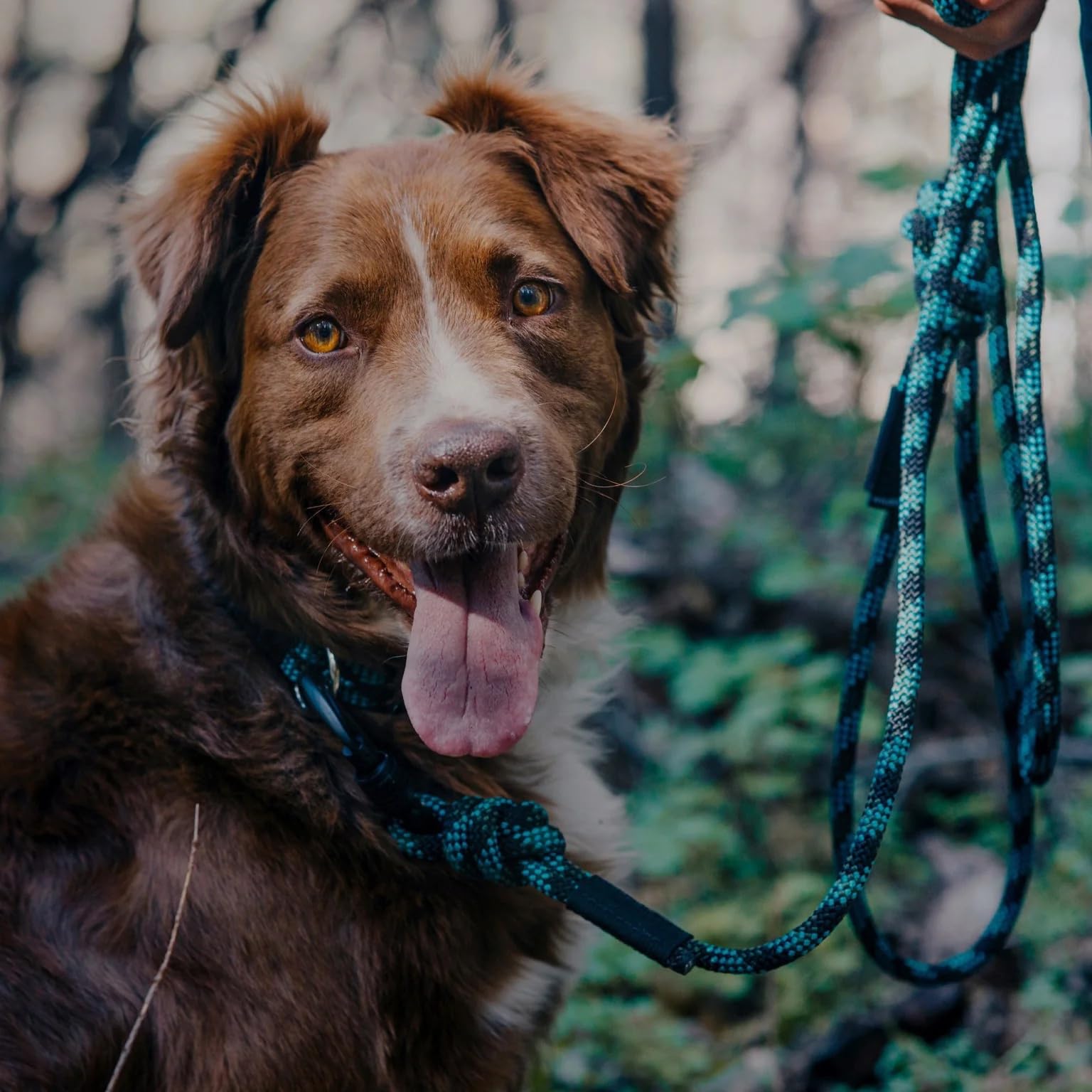 Wilderdog 10ft Climbing Rope Dog Leash with Carabiner Clip for Medium & Large Dogs - Durable Outdoor Pet Leash for Hiking, Camping & Walking - Granite Color