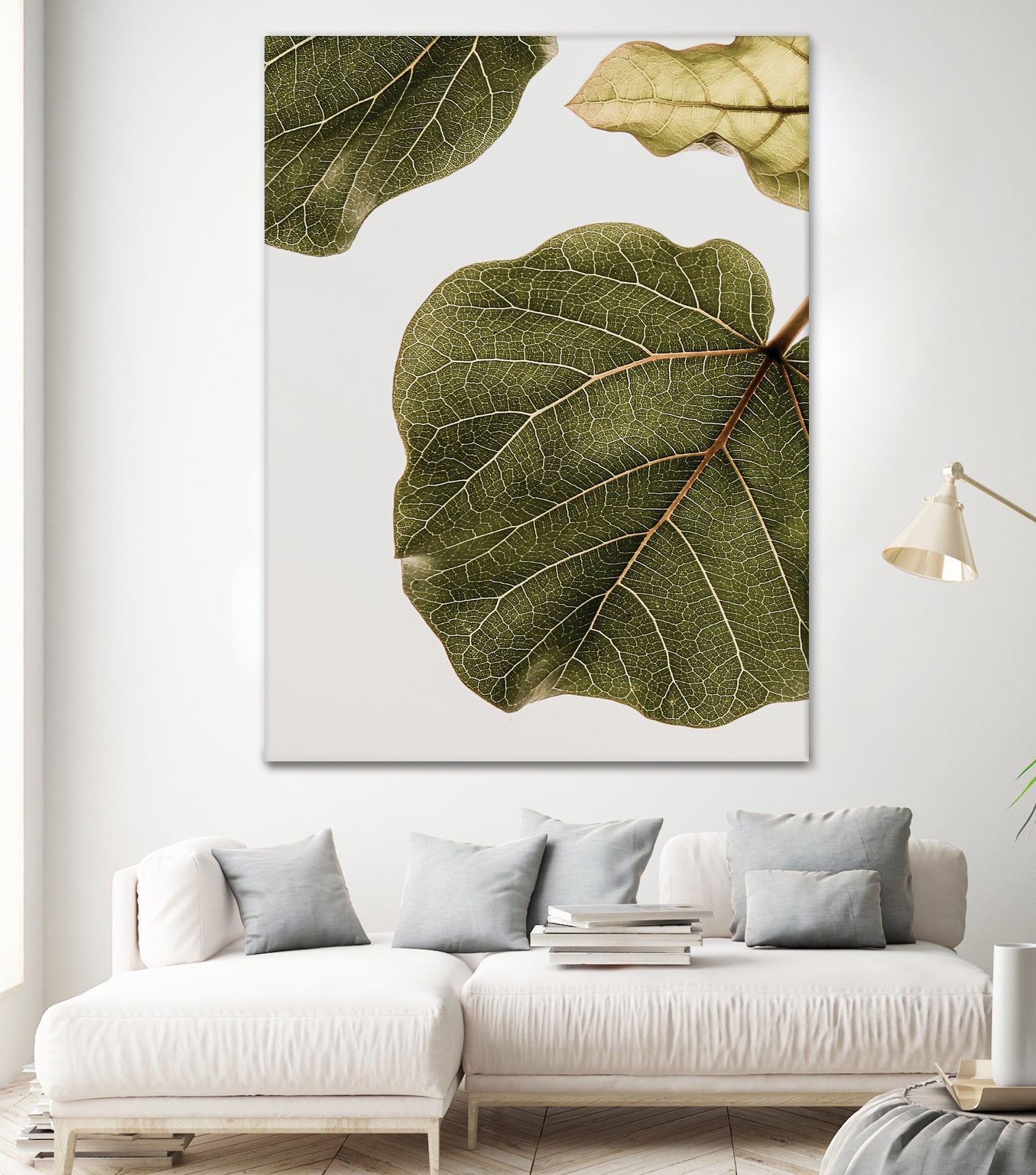Abutifolia No2 - Premium Quality for Home Decor, Office, and Gift Giving | Enhance Your Space with Elegant Style