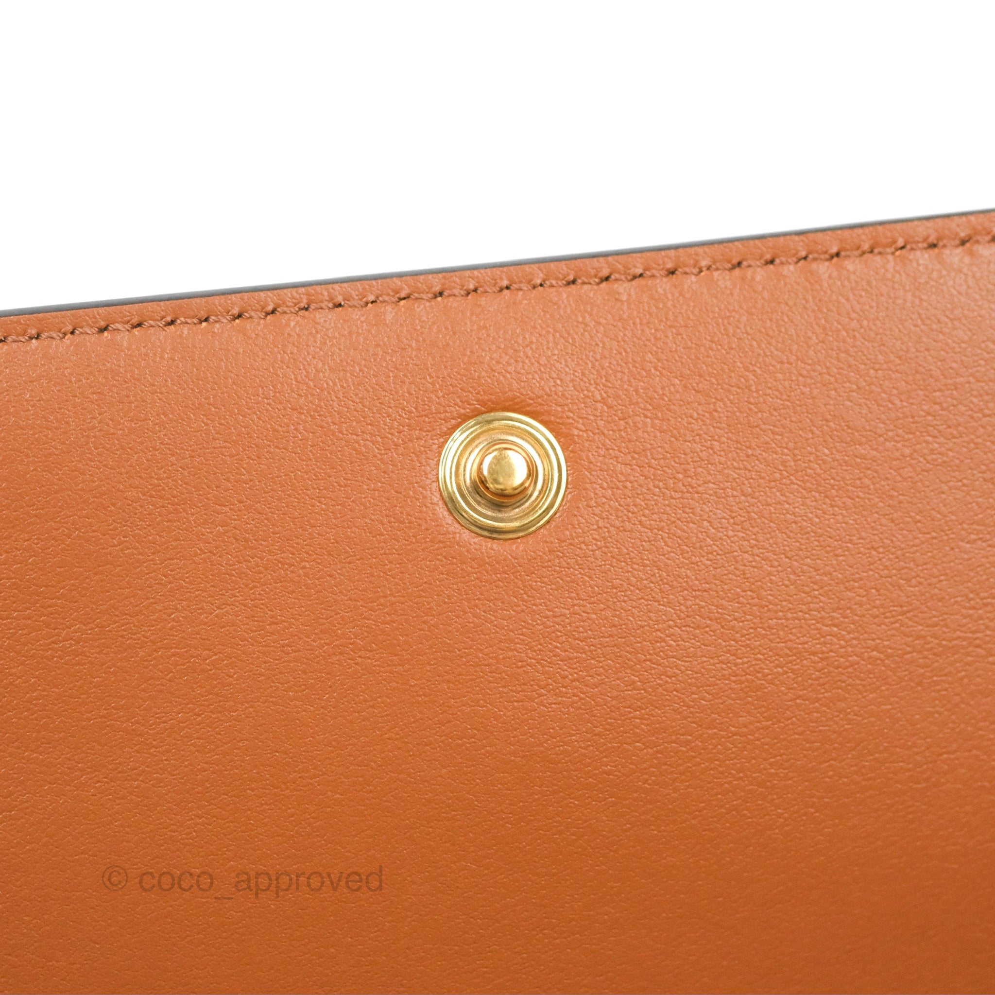 Celine Triomphe Canvas Wallet On Strap - Tan Lambskin Crossbody Bag for Women | Perfect for Everyday Use, Travel & Special Occasions