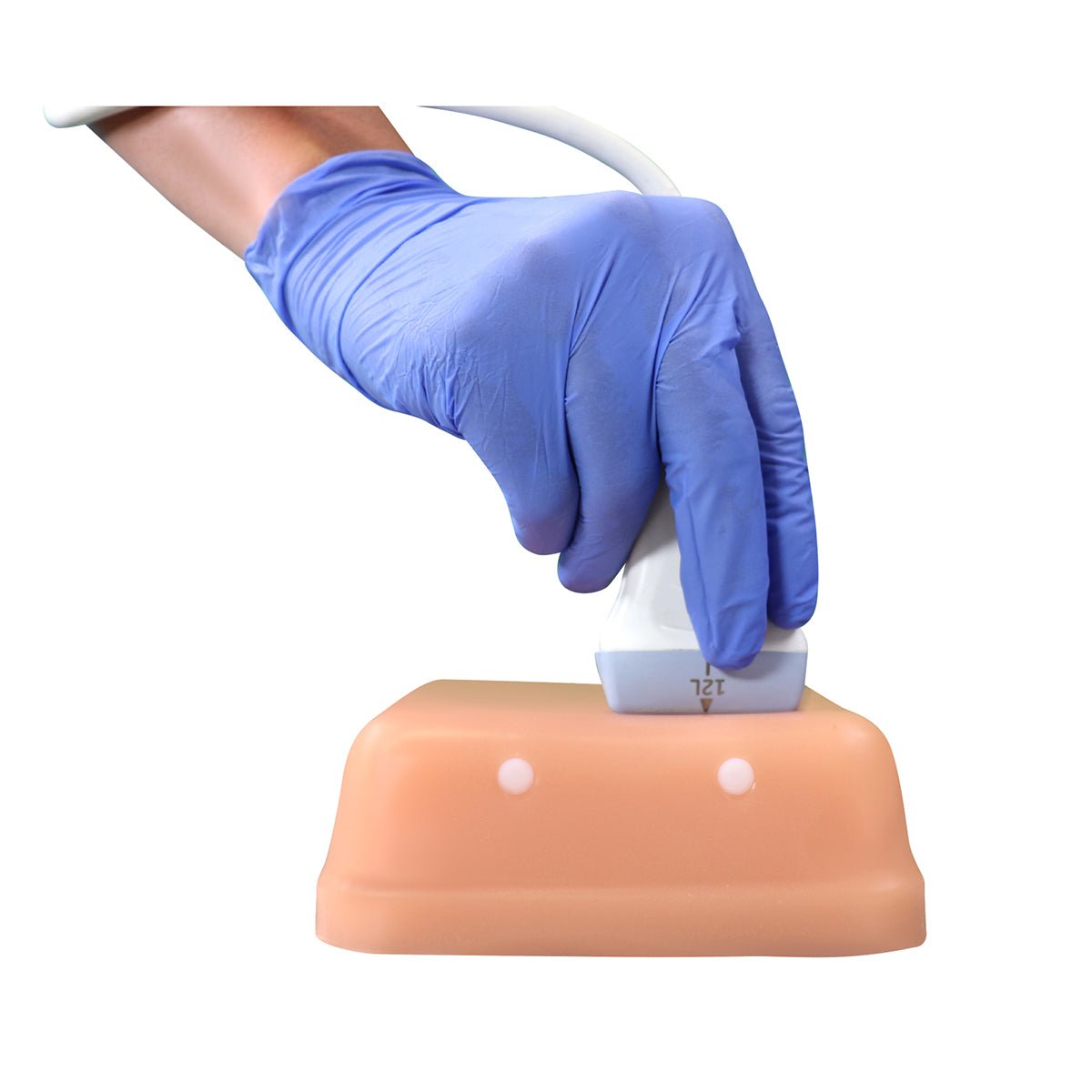 HM2.0 Remoldable 2-Vessel Ultrasound Training Model - Perfect for Medical Students & Sonography Practice (Arterial & Venous Vessel Simulation)