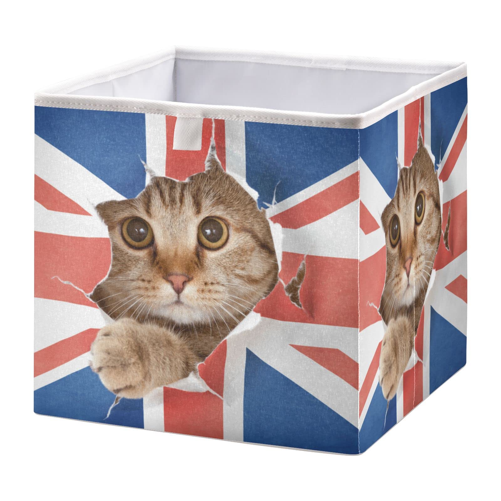 RunningBear Cat Flag Collapsible Storage Bin - Square Storage Cubes for Toys, Clothes & Organizing | Perfect for Closet, Shelf & Car Organization
