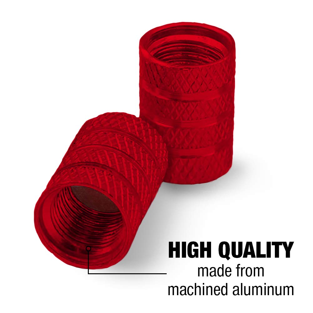 Dad Lion and Cub Motorcycle & Bicycle Valve Stem Caps - Durable Aluminum Wheel Rim Tire Accessories for Bikers - Perfect for Customizing Motorcycles, Bikes & Scooters