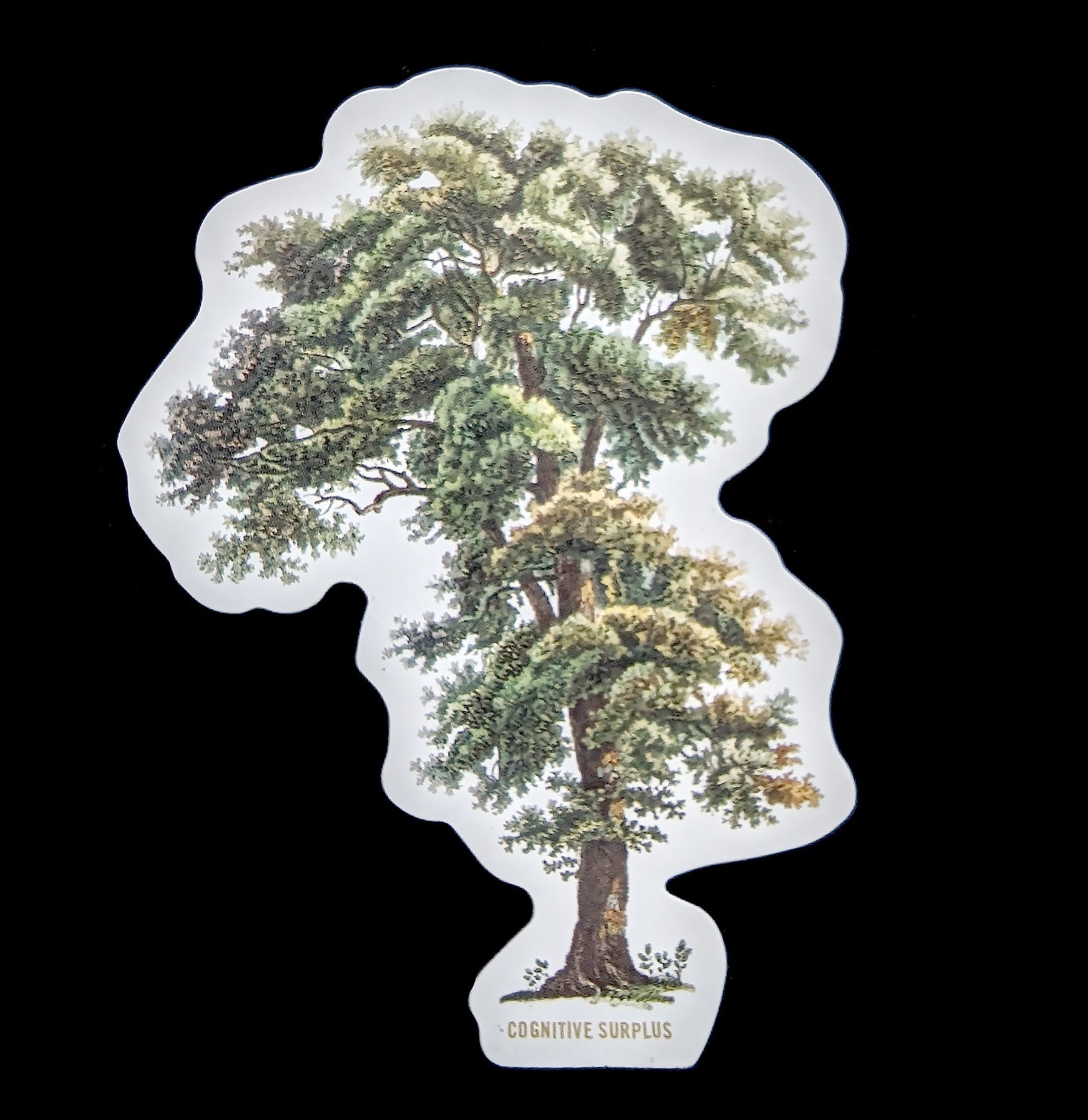 Tall Tree Sticker - Waterproof Vinyl Decal for Laptops, Cars & Walls - Nature Inspired Outdoor Decor