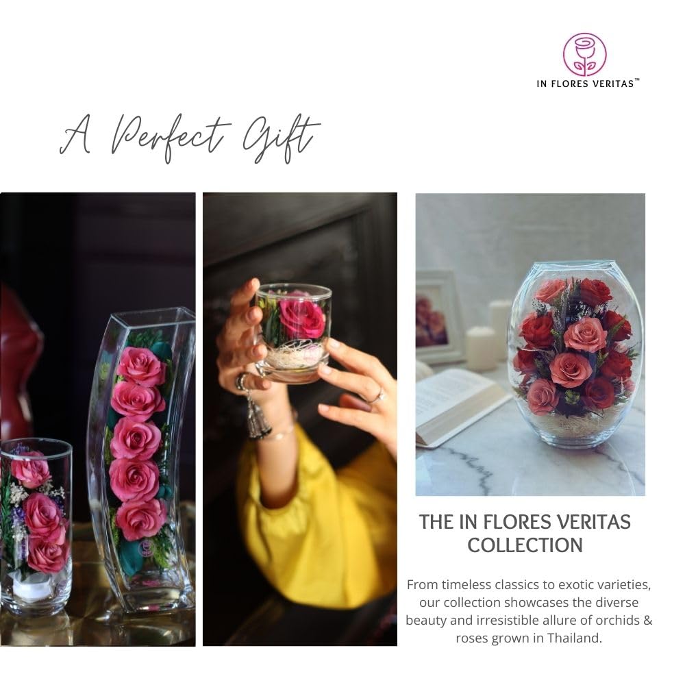 Long-Lasting Preserved Roses in Glass Vase - Fresh Cut Flowers That Stay Beautiful for 5+ Years | Waterless, Allergy-Free Bouquet | Perfect Romantic Gift for Anniversary, Valentine's Day & Home Decor (Serenade Pink)