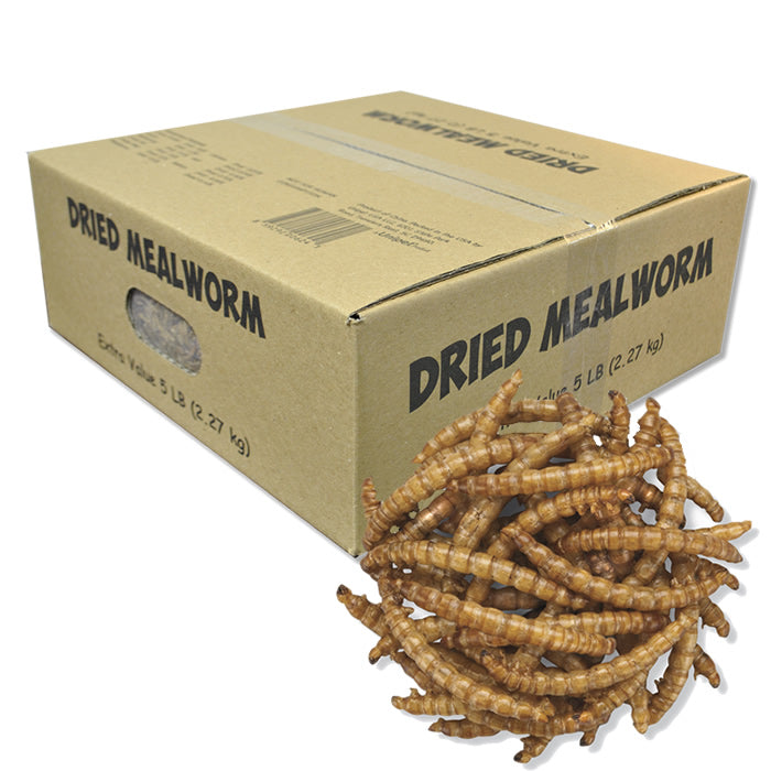 Premium Dried Mealworms 5 lbs - High Protein Natural Bird & Chicken Feed - Perfect for Wild Birds, Poultry, Reptiles & Fishing Bait
