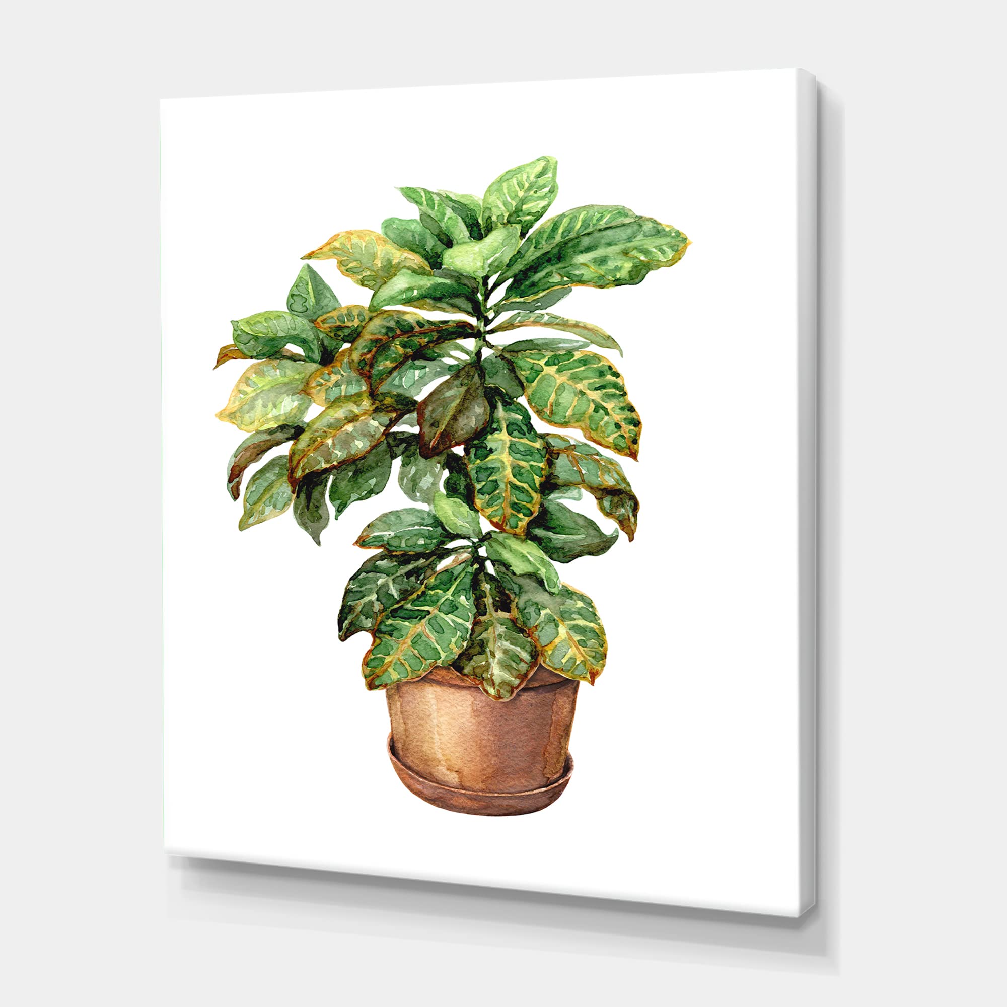 DesignQ Croton in Clay Flowerpot Traditional Canvas Wall Art - Handmade Home Decor for Living Room, Bedroom & Office - Perfect for Farmhouse, Boho & Vintage Style Interiors