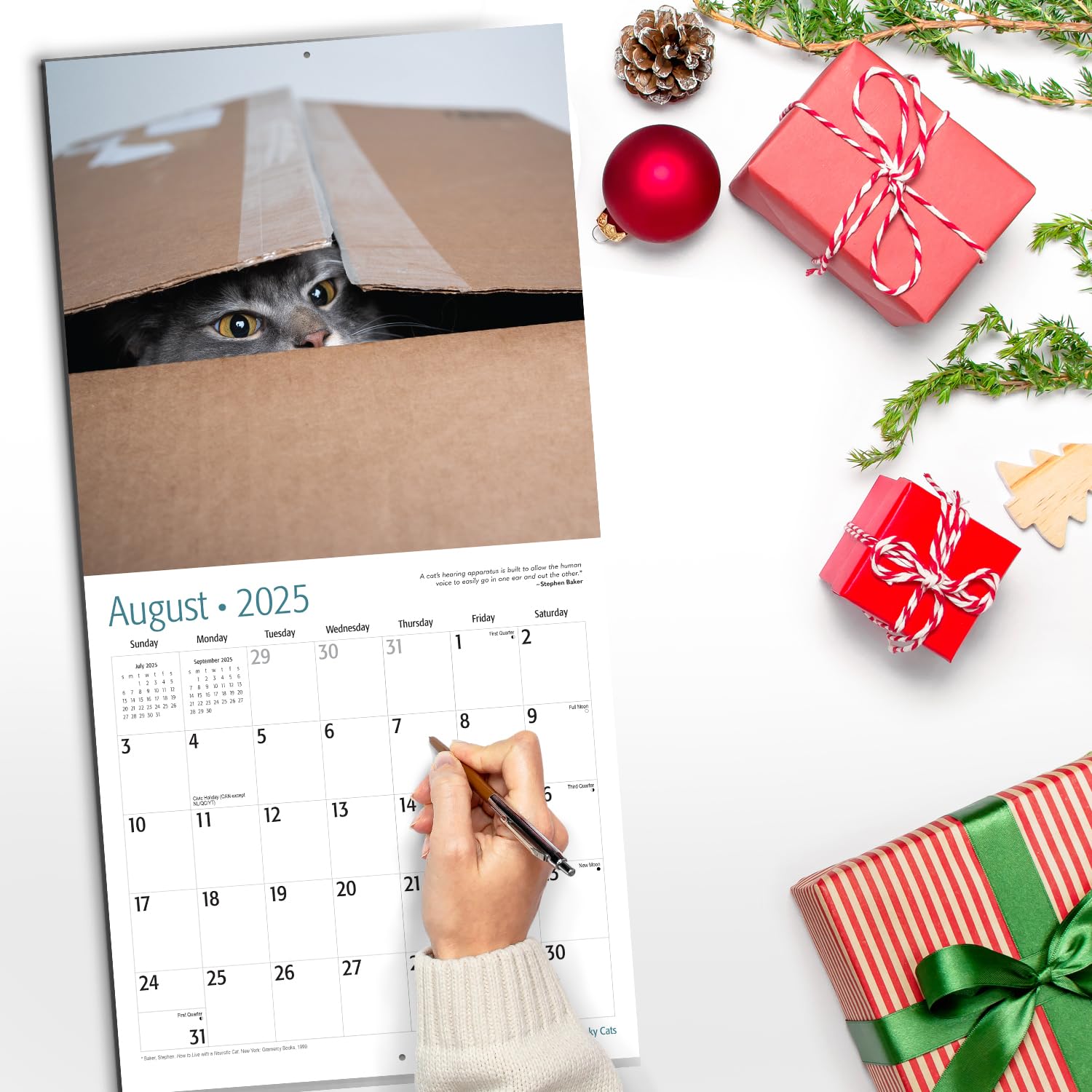 RED EMBER Sneaky Cats 2025 Wall Calendar - 12 Month Large 12