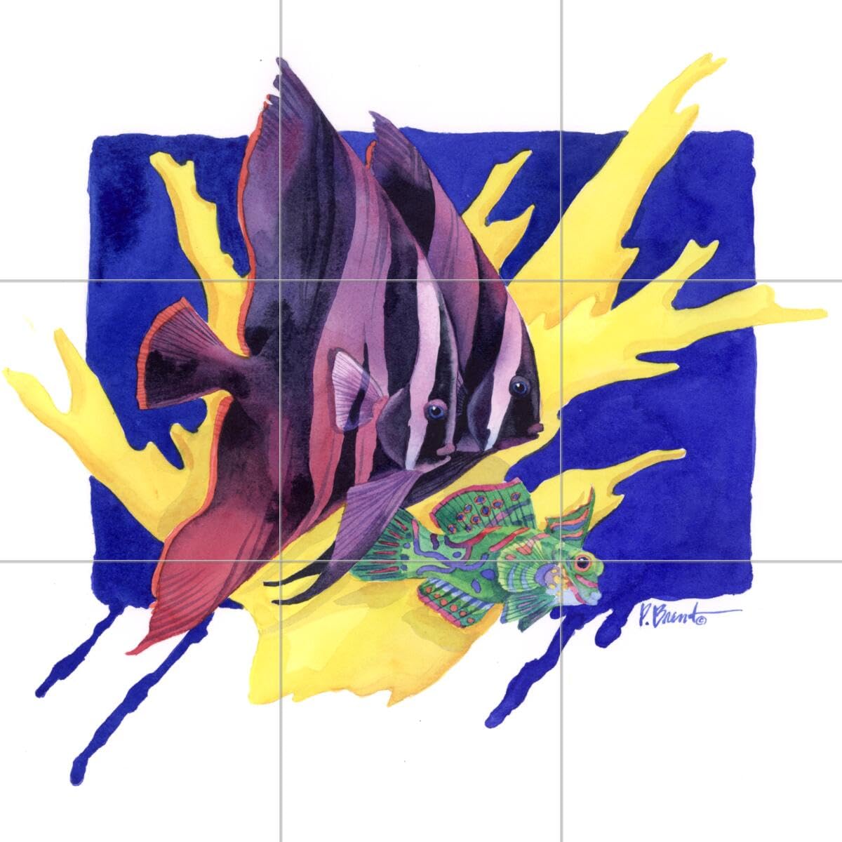 Ceramic Backsplash Tile Mural - Saltwater Fish Underwater Ocean Theme for Kitchen, Bathroom & Shower - Bat Fish Design by Paul Brent - Perfect for Coastal & Nautical Home Decor