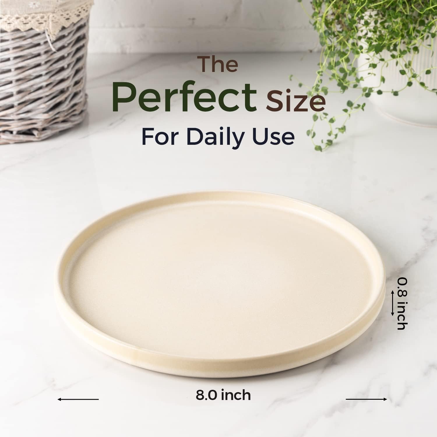 AmorArc 6-Piece 8-Inch Ceramic Dinner Plate Set - Matte Glaze Salad, Dessert, Appetizer Plates - Microwave & Dishwasher Safe Scratch-Resistant Ivory Dishes - Perfect for Family Dinners, Parties & Restaurant Use