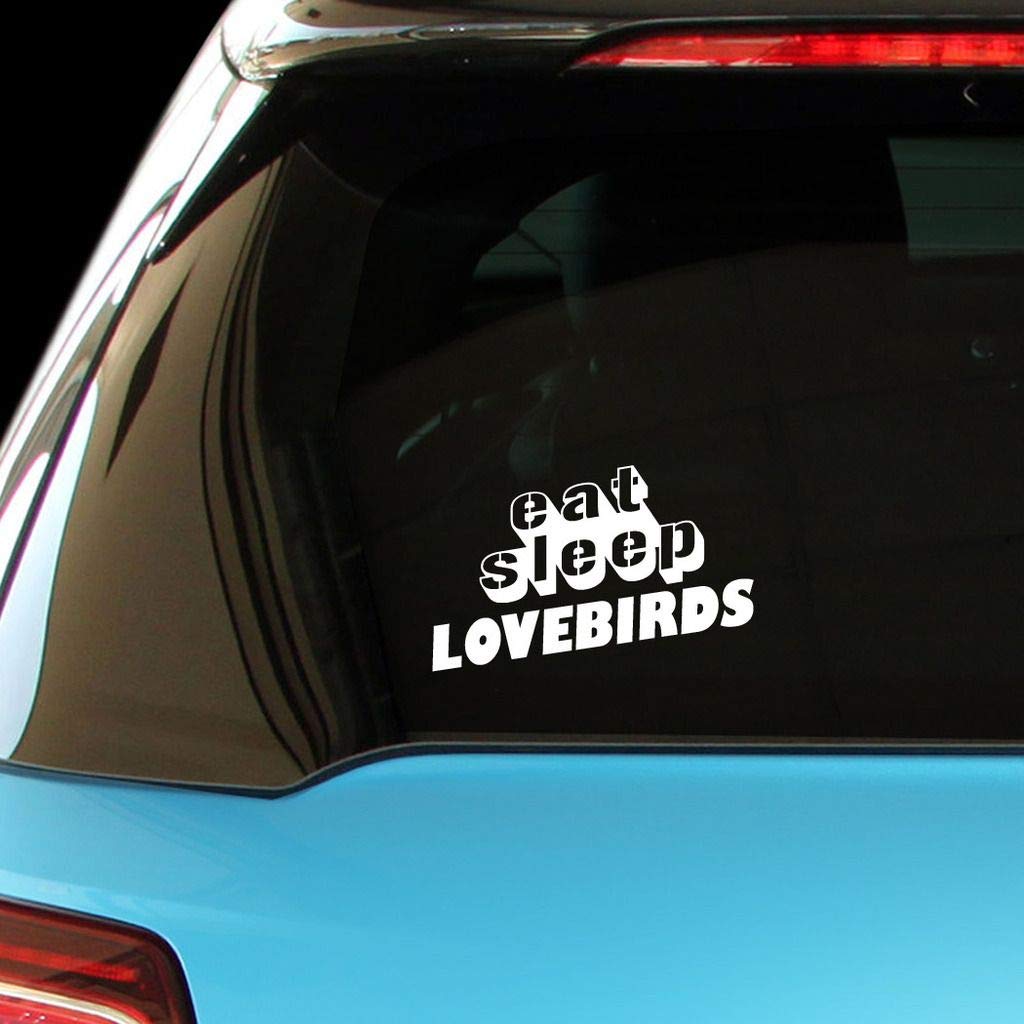 EAT Sleep Lovebirds Car & Laptop Vinyl Wall Sticker Decal - Perfect for Bedroom, Office & Vehicle Decoration