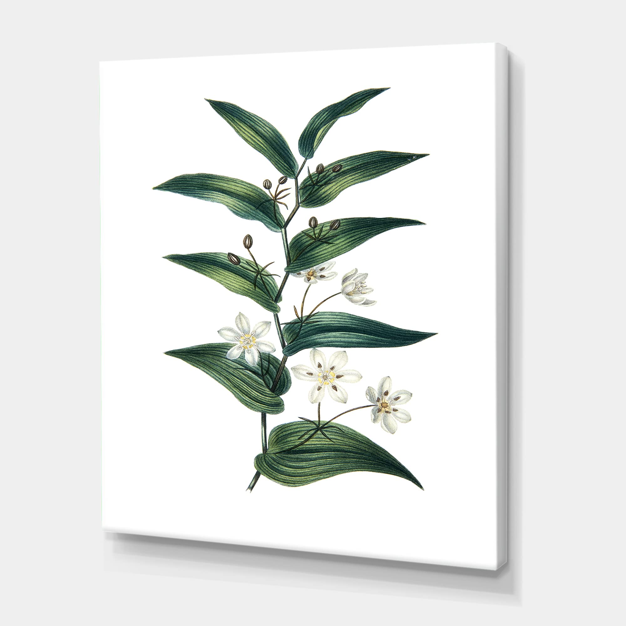 Vintage Farmhouse Canvas Wall Art - White Floral Plant Design for Home Decor, Living Room, Bedroom & Office